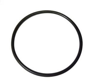 O-Ring, Strainer 550031065