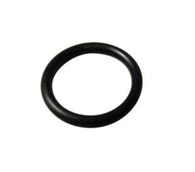 O-Ring 550035024